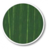 Chrome Oxide Green Light - Richeson Shiva Oil Colour Series 3