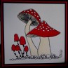 GC021 - 130 x 130 Hand painted mushrooms, watercolour blank greeting card