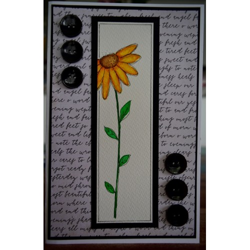 GC027 - 140 x 215 Hand painted sunflower, watercolour blank greeting card