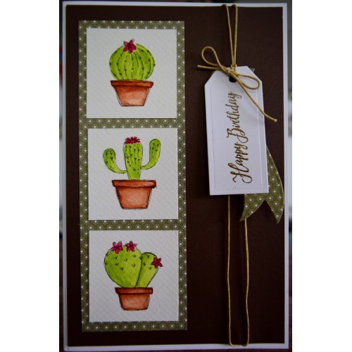 GC028 - 140 x 215 Hand painted cacti, watercolour birthday card